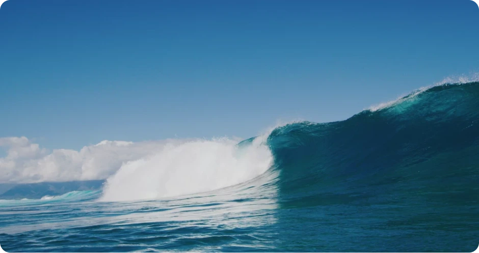 Wave