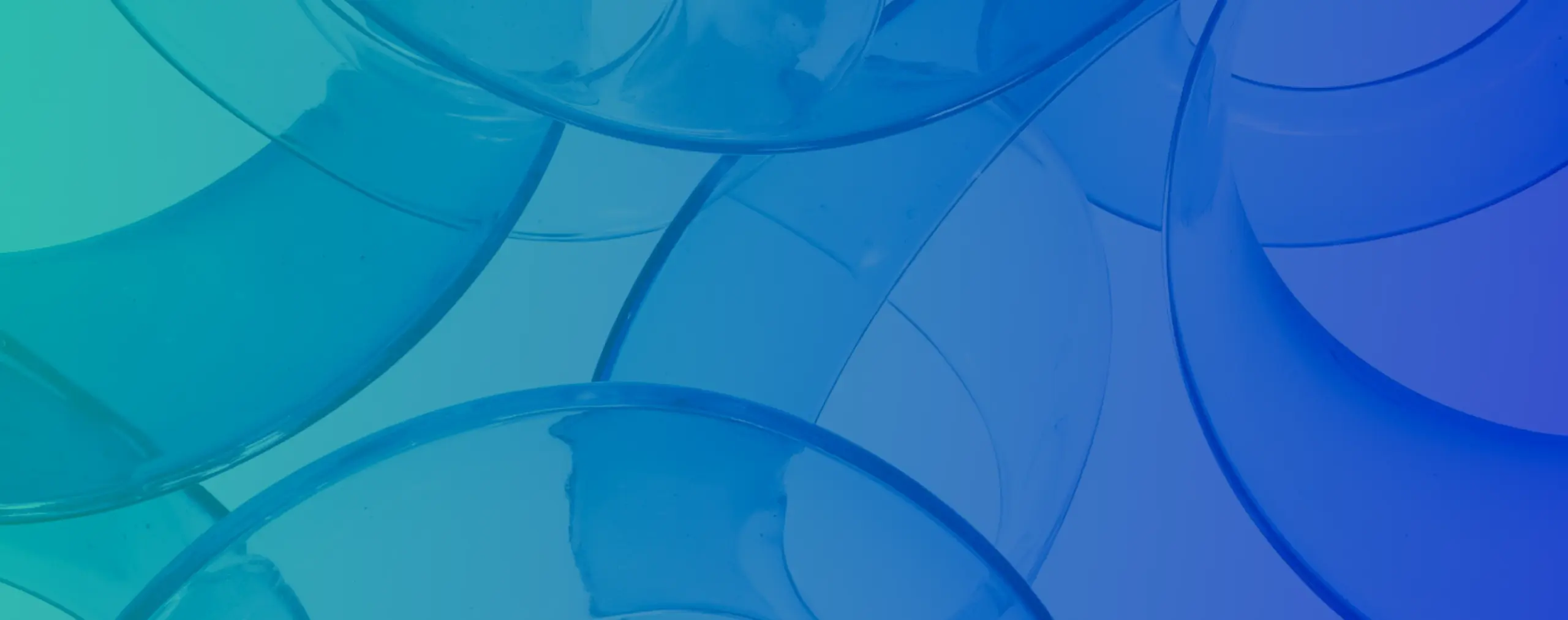 fs background
