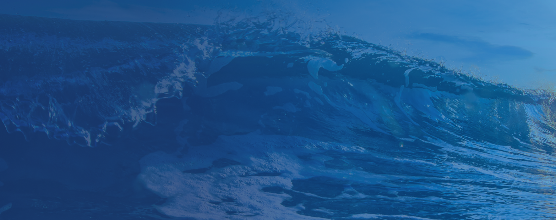 fs background