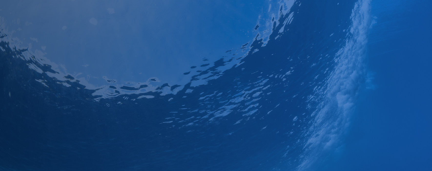 fs background