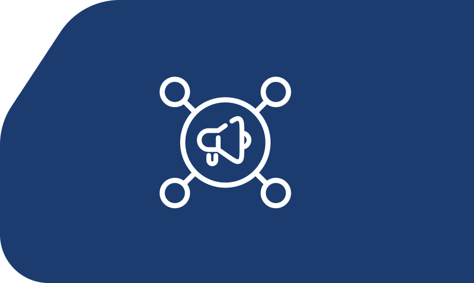 Cross-program findings