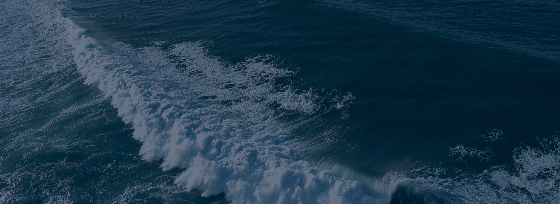 fs background